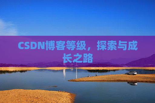 CSDN博客等级,探索与成长之路